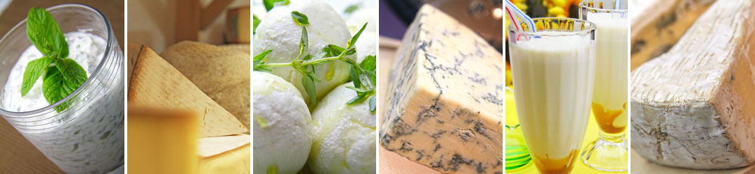 dairy - The Artisan Food Trail