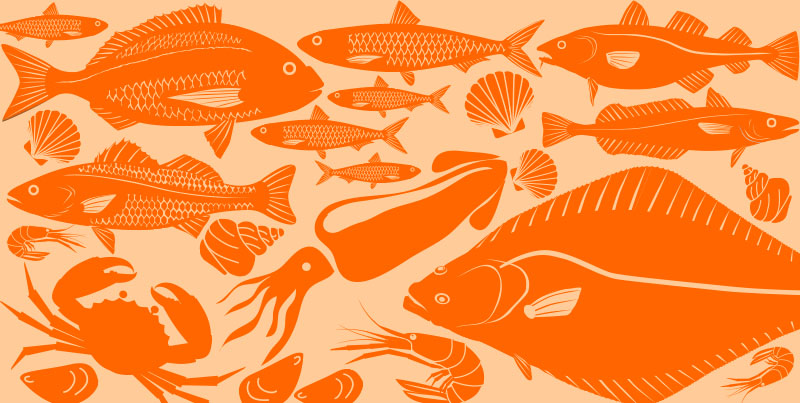Foods in Season – Fish and Seafood Autumn