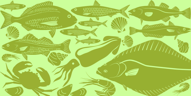Foods in Season – Fish and Seafood Spring