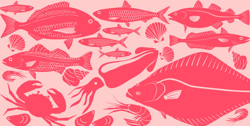 Foods in Season – Fish and Seafood Summer