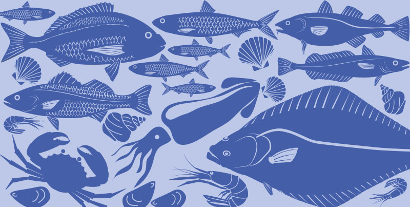 Foods in Season – Fish and Seafood Winter