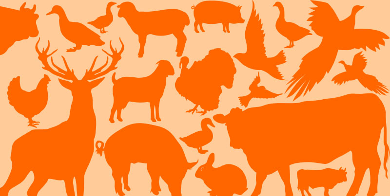 Foods in Season – Meat and Game Autumn
