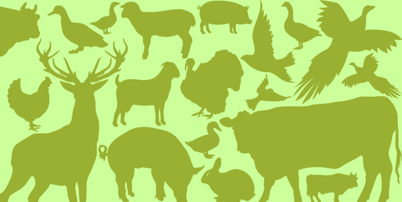 Foods in Season – Meat and Game Spring
