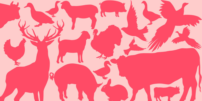 Foods in Season – Meat and Game Summer